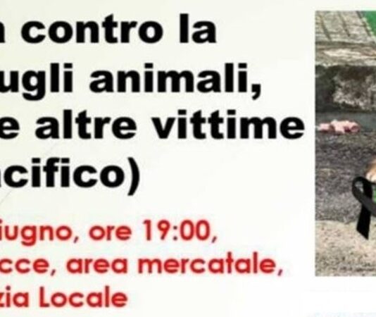 Fioccolata per Biondo, in marcia sul luogo dove il cane è stato investito